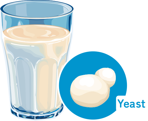 Yeast milk