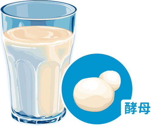 酵母